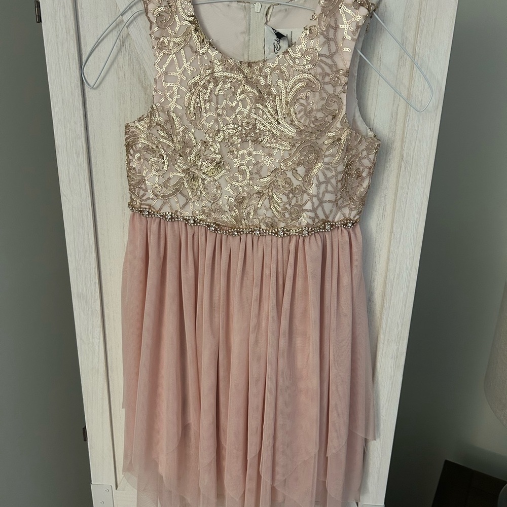 Girls Beaded Dress Blush Rare Editions Tulle Dress Pink and Gold Formal Dress